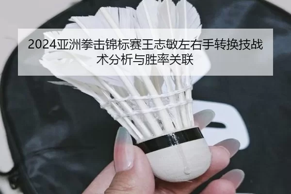 2024亚洲拳击锦标赛王志敏左右手转换技战术分析与胜率关联